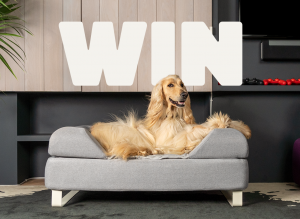 Omlet – Win a Topology dog bed