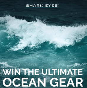 Shark Eyes – Win 2 wetsuits from Mongrel Wetsuit Range PLUS a set of gloves and a set of booties