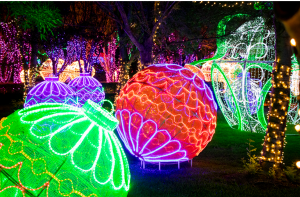 Hunter Valley Gardens – Win 1 of 3 Christmas Lights Spectacular Family passes for 4