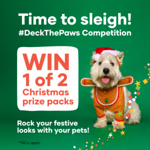PetBarn – Win 1 of 2 Christmas prize packs – one for a dog owner and one for a car owner