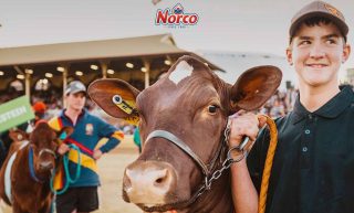 Norco – Win 1 of 100 Family tickets to The Royal Queensland Show (EKKA) 2024