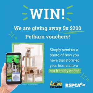 RSPCA NSW – Win a $200 Petbarn voucher