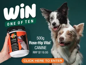 Rose-Hip Vital – Win 1 of 10 Rose-Hip Vital Canine 500g tubs