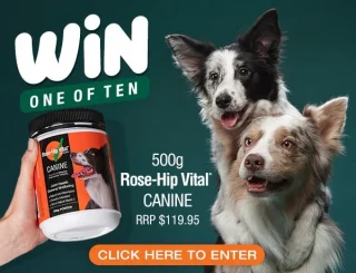 Rose-Hip Vital – Win 1 of 10 Rose-Hip Vital Canine 500g tubs