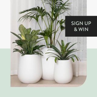 Just Add Plants – Win a set of Planters from the Nordic Indoor range valued at $1,500